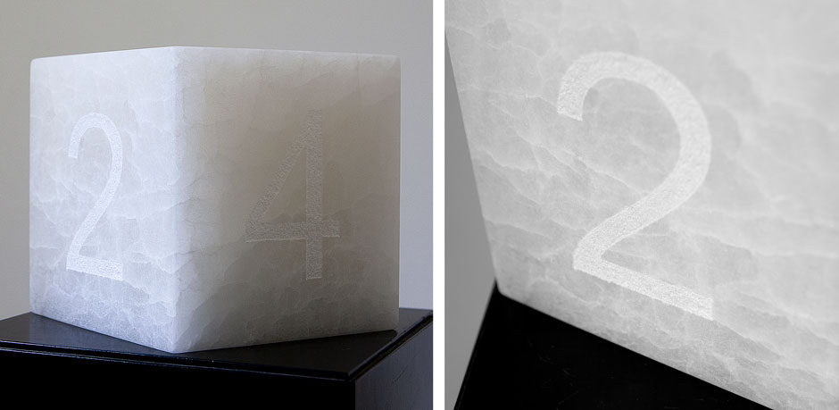 Is there anybody in there? (First test for a Project about the London Zoo). Rocío Garriga